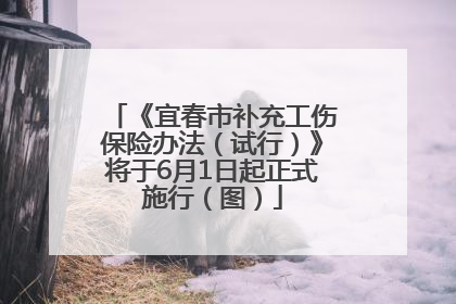 《宜春市补充工伤保险办法（试行）》将于6月1日起正式施行（图）