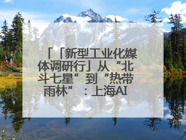 「新型工业化媒体调研行」从“北斗七星”到“热带雨林”：上海AI生态的技术商业共生密码
