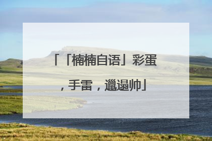 「楠楠自语」彩蛋，手雷，邋遢帅