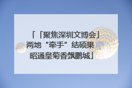 「聚焦深圳文博会」两地“牵手”结硕果 昭通皇菊香飘鹏城