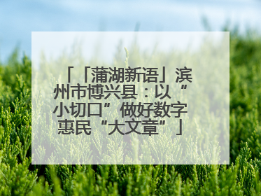 「蒲湖新语」滨州市博兴县：以“小切口”做好数字惠民“大文章”