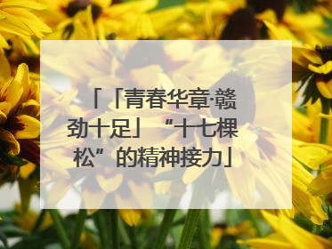 「青春华章·赣劲十足」“十七棵松”的精神接力