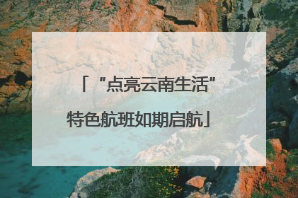 “点亮云南生活”特色航班如期启航