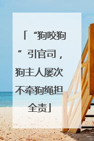 “狗咬狗”引官司，狗主人屡次不牵狗绳担全责