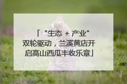 “生态 + 产业”双轮驱动，兰溪黄店开启高山西瓜丰收乐章