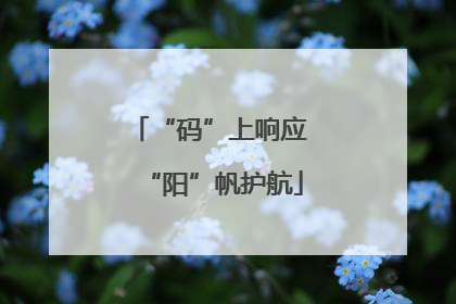 “码”上响应 “阳”帆护航