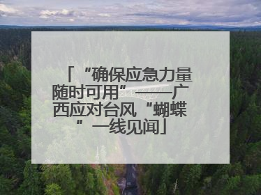 “确保应急力量随时可用”——广西应对台风“蝴蝶”一线见闻