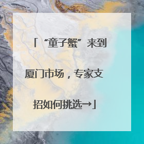 “童子蟹”来到厦门市场，专家支招如何挑选→