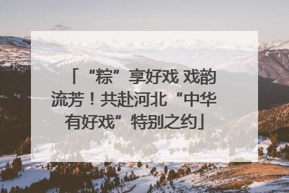 “粽”享好戏 戏韵流芳！共赴河北“中华有好戏”特别之约