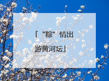 “粽”情出游黄河坛