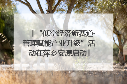 “低空经济新赛道·管理赋能产业升级”活动在萍乡安源启动