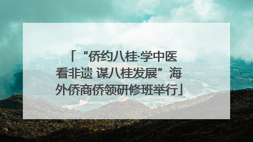 “侨约八桂·学中医 看非遗 谋八桂发展”海外侨商侨领研修班举行