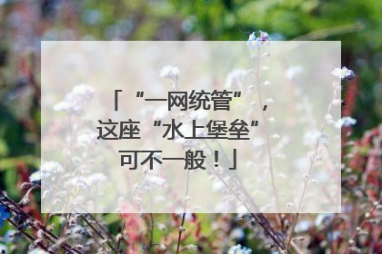 “一网统管”，这座“水上堡垒”可不一般！