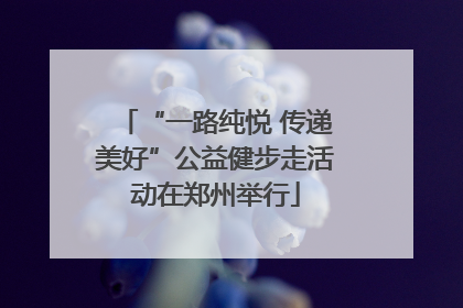“一路纯悦 传递美好”公益健步走活动在郑州举行