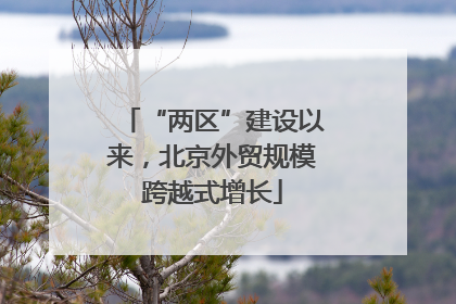 “两区”建设以来，北京外贸规模跨越式增长