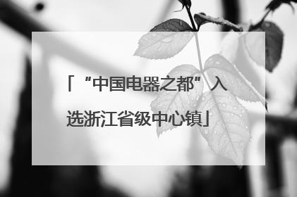 “中国电器之都”入选浙江省级中心镇