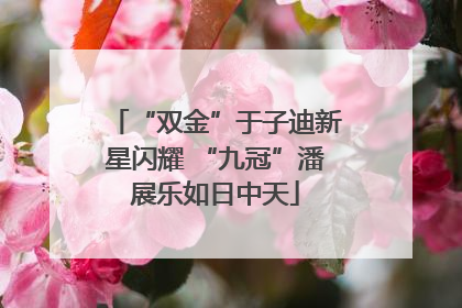 “双金”于子迪新星闪耀 “九冠”潘展乐如日中天