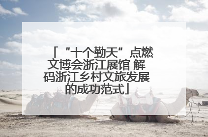 “十个勤天”点燃文博会浙江展馆 解码浙江乡村文旅发展的成功范式