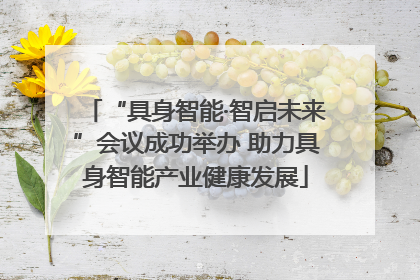 “具身智能·智启未来”会议成功举办 助力具身智能产业健康发展