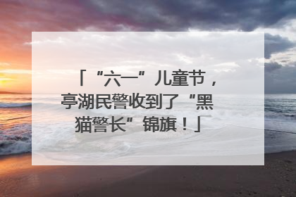 “六一”儿童节，亭湖民警收到了“黑猫警长”锦旗！