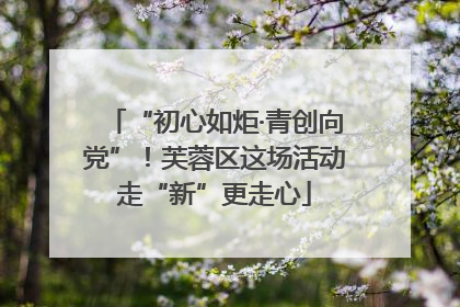 “初心如炬·青创向党”！芙蓉区这场活动走“新”更走心