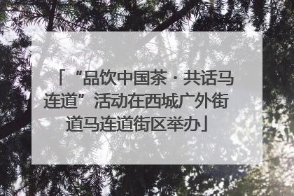 “品饮中国茶・共话马连道”活动在西城广外街道马连道街区举办