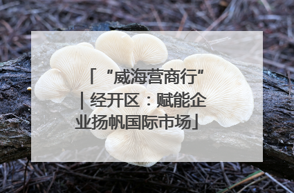 “威海营商行”｜经开区：赋能企业扬帆国际市场