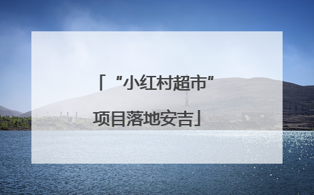 “小红村超市”项目落地安吉