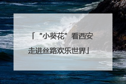 “小葵花”看西安走进丝路欢乐世界