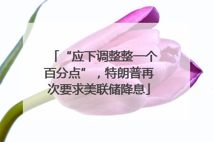 “应下调整整一个百分点”，特朗普再次要求美联储降息