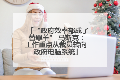 “政府效率部成了替罪羊” 马斯克：工作重点从裁员转向政府电脑系统