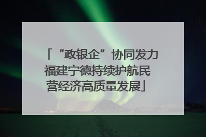 “政银企”协同发力 福建宁德持续护航民营经济高质量发展