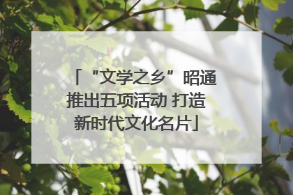 “文学之乡”昭通推出五项活动 打造新时代文化名片