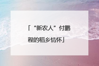 “新农人”付鹏程的稻乡情怀