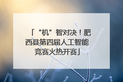 “机”智对决！肥西县第四届人工智能竞赛火热开赛