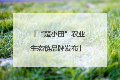 “楚小田”农业生态链品牌发布