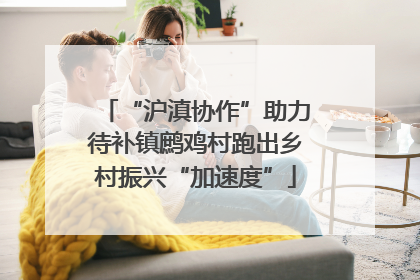 “沪滇协作”助力待补镇鹧鸡村跑出乡村振兴“加速度”