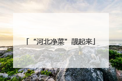 “河北净菜”靓起来