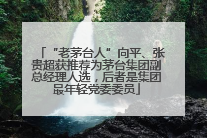 “老茅台人”向平、张贵超获推荐为茅台集团副总经理人选，后者是集团最年轻党委委员