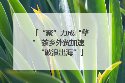 “聚”力成“擎” 茶乡外贸加速“破浪出海”