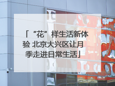 “花”样生活新体验 北京大兴区让月季走进日常生活