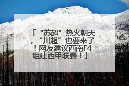 “苏超”热火朝天，“川超”也要来了！网友建议西南F4组建西甲联赛！