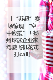 “苏超”赛场惊现 “空中应援”！扬州球迷企业家驾驶飞机花式打call