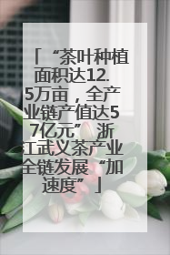“茶叶种植面积达12.5万亩，全产业链产值达57亿元” 浙江武义茶产业全链发展“加速度”