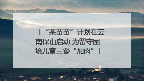 “茶苗苗”计划在云南保山启动 为留守困境儿童三餐“加肉”