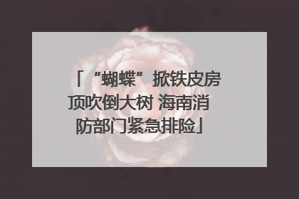 “蝴蝶”掀铁皮房顶吹倒大树 海南消防部门紧急排险