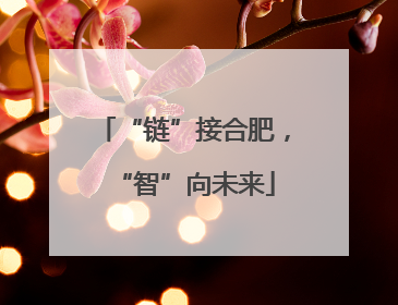 “链”接合肥，“智”向未来