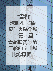 “雪豹”一球制胜 “盛宴”火爆全场——第二届“青超联赛”第二轮西宁主场比赛见闻
