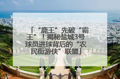 “鹿王”先破“霸王”！揭秘盐城3号球员进球背后的“农民街游侠”联盟