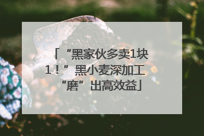 “黑家伙多卖1块1！”黑小麦深加工“磨”出高效益